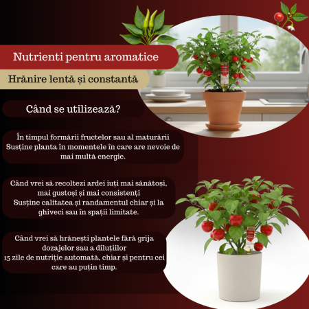 Supliment nutritiv prin picurare pentru ardei iute - Elixir [2]