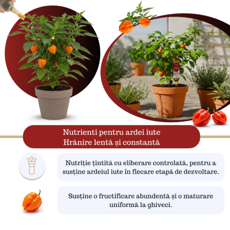 Supliment nutritiv prin picurare pentru ardei iute - Elixir [4]