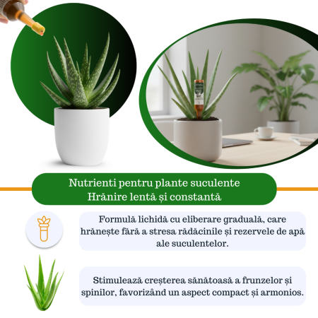 Supliment nutritiv prin picurare pentru orhidee - Elixir [1]