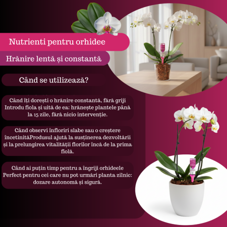 Supliment nutritiv prin picurare pentru orhidee - Elixir [3]