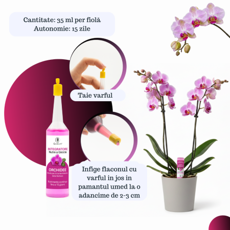 Supliment nutritiv prin picurare pentru orhidee - Elixir [2]