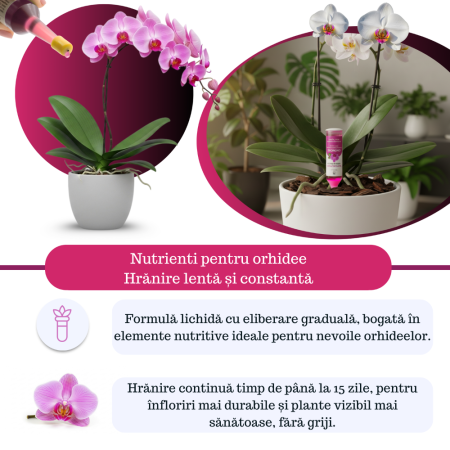 Supliment nutritiv prin picurare pentru orhidee - Elixir [4]