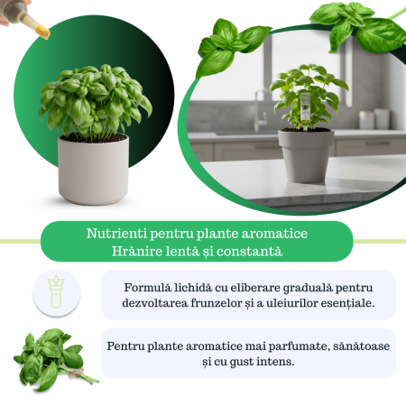 Supliment nutritiv prin picurare pentru plante aromatice - Elixir [4]