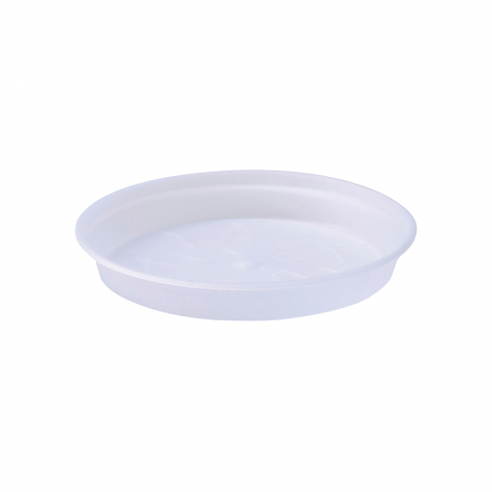 Plante Ornamentale - Tavita Ghiveci 10cm Transparent Green Basic