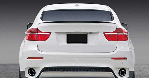 Eleron Portbagaj BMW X6 E71 [3]