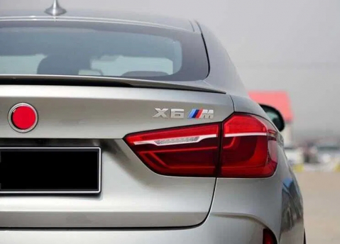 Eleron Portbagaj BMW X6 F16 [2]