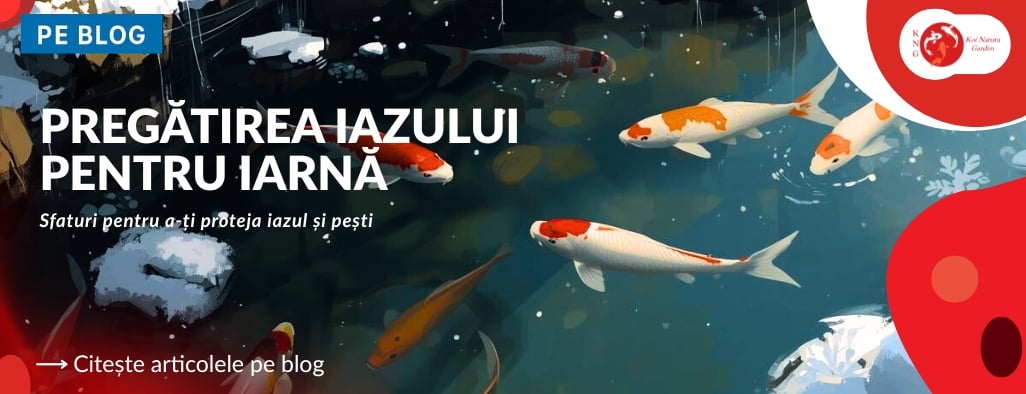 Pregatirea Iazului Pentru Iarna