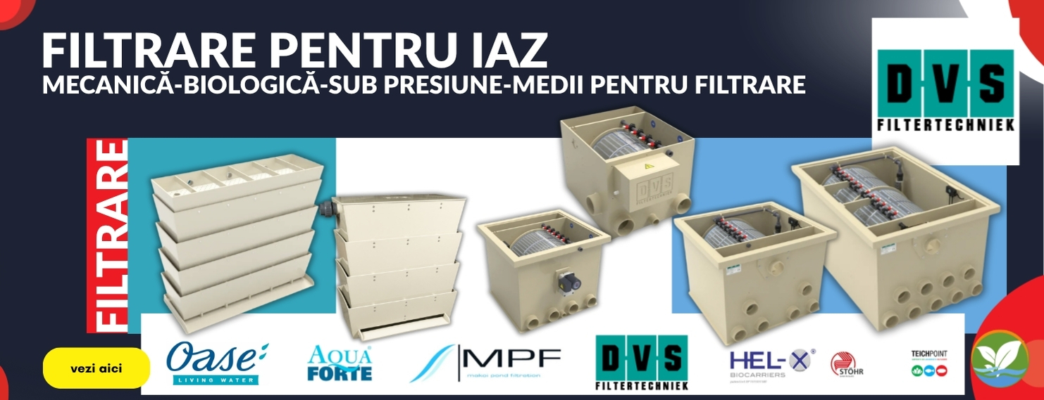 FILTRARE MECANICA IAZURI