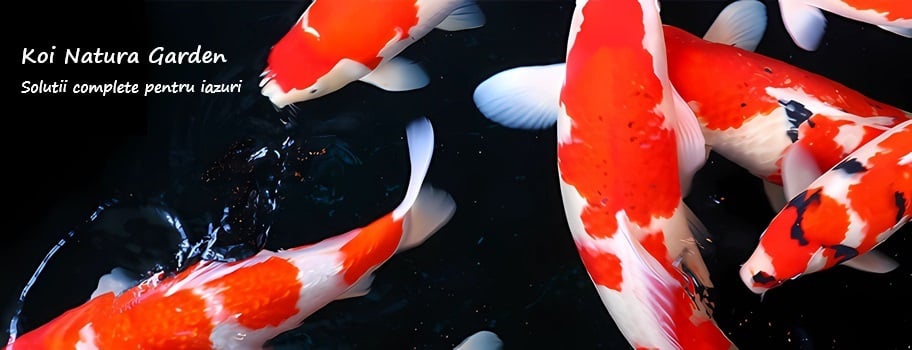 Koi Natura Garden
