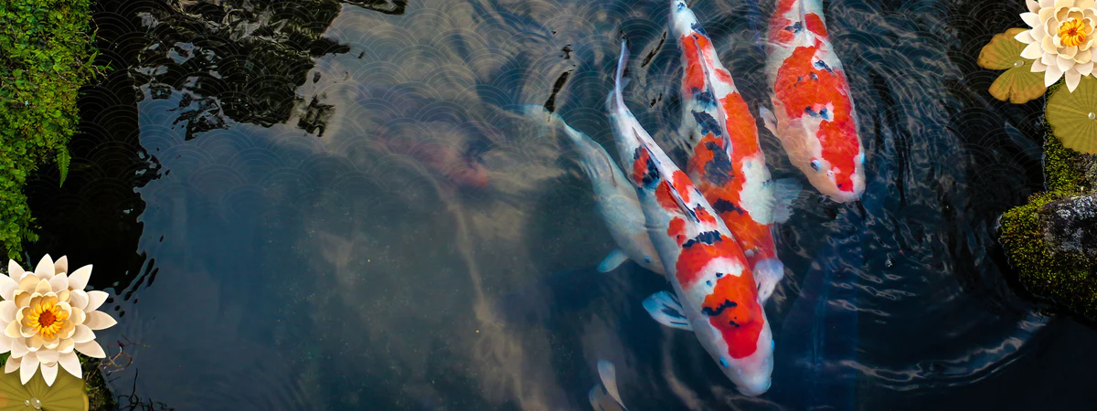 Koi Natura Garden banner