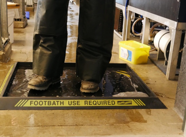 Capitolul 11 – Igiena echipamentelor, biosecuritate si prevenirea contaminarilor intre sisteme