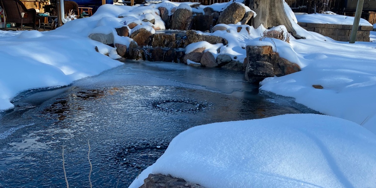 Este necesara aerarea unui iaz cu crapi koi pe timpul iernii?