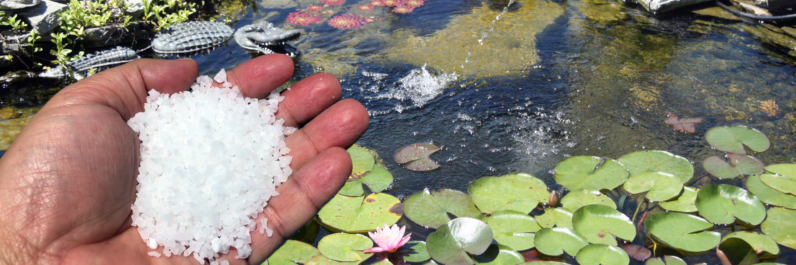 Capitolul 8 – Rolul sarii in iazuri