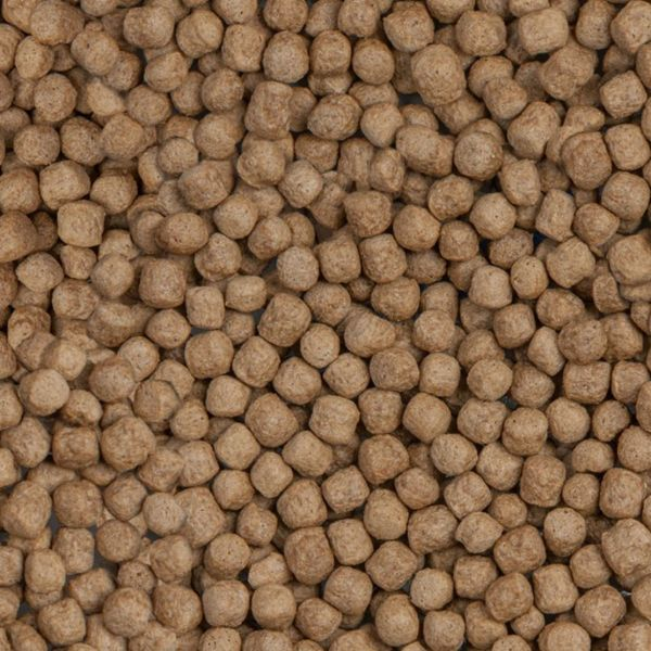 Mancare pesti Koi Royal Large (plutitor) 5,8kg [2]