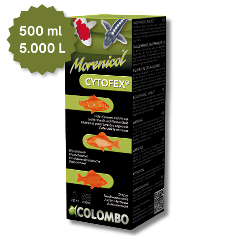 Tratamente Apa / Pesti - COLOMBO MORENICOL CYTOFEX Tratament antibacterian pentru pești de iaz Koi și Goldfish