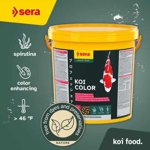 Mancare pesti Premium Sera Koi Spirulina Color [2]
