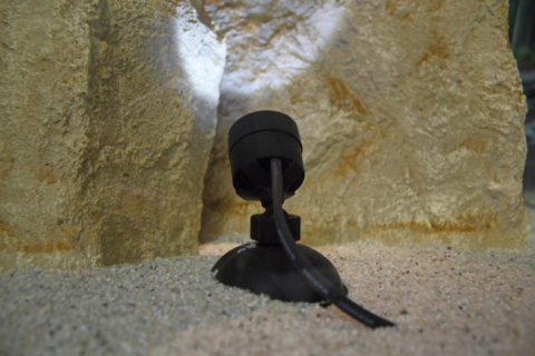 Spot Led Pontec PondoStar LED Set 6 bucati [1]