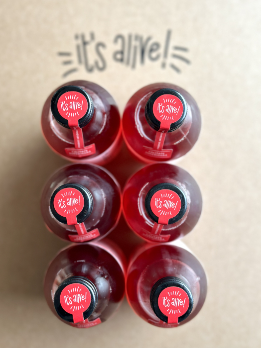 Kombucha Jamaica Spirit Tea 0.330ml - 6 pack [1]