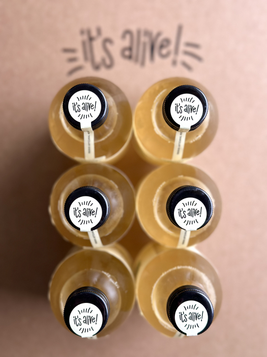 Kombucha Terra Plants Tea 0.330ml - 6 pack [1]