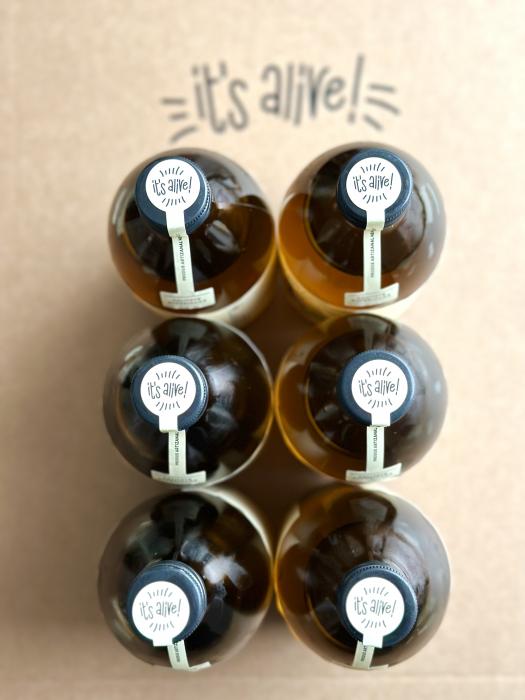 Kombucha Terra Plants Tea 0.500 - 6 pack [1]