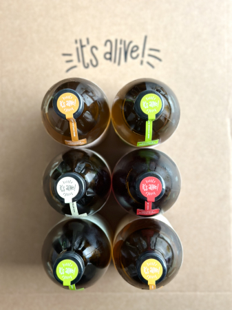 Produse - Kombucha Mix 0.500 - 6 pack