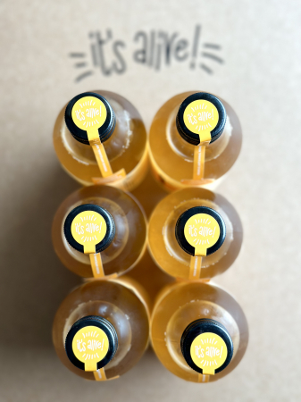 Produse - Kombucha Original Tea 0.330ml - 6 pack