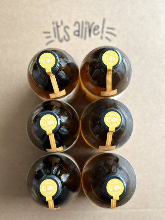 Produse - Kombucha Original Tea 0.500ml - 6 pack