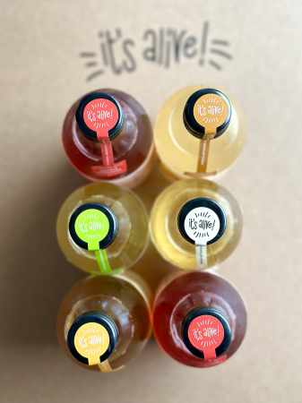 Produse - Kombucha Mix 0.330ml - 6 pack