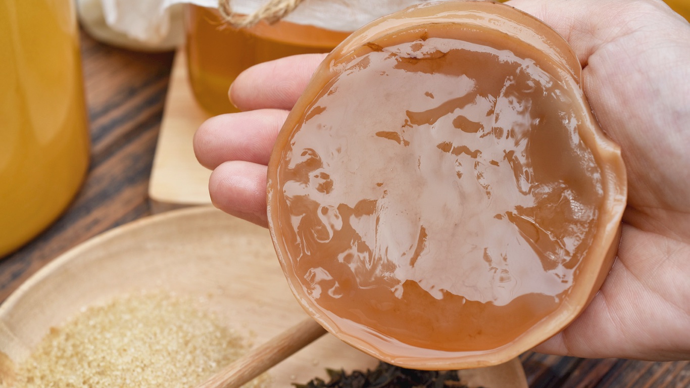 Kombucha - Generalitati