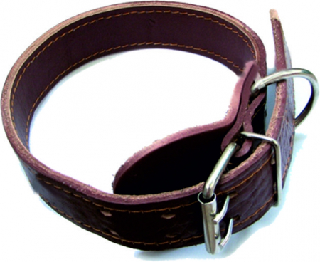 Accesorii animale - CUREA PIELE 300 x 15 mm