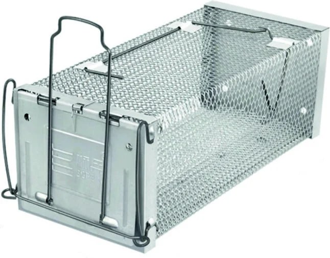 Momeala / Capcane Soareci - CURSA SOBOLANI 27 x 12.5 x 10.5