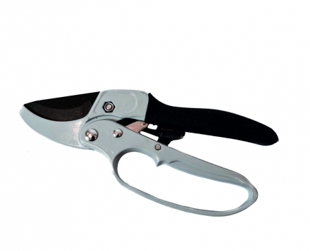 Gradinarit - FOARFECA VIE MANER INDOIT 8"