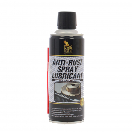 Accesorii auto - SPRAY ANTI-RUGINA 450 ml