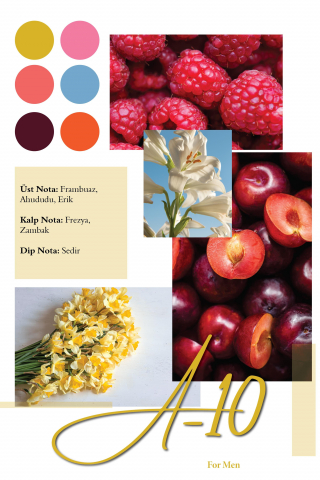 AFRODIZIAK by Patric (A-10) apa de parfum 50ml, barbati [1]