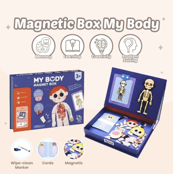 Joc magnetic educativ Corpul Uman tip carte Magnet Box, schelet, organe si carioca lavabila, +3 ani [4]