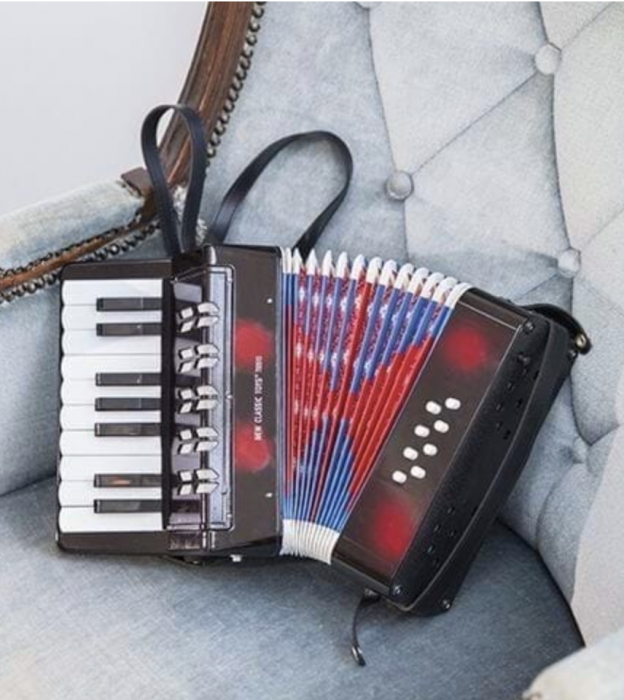 Acordeon muzical cu clape [3]