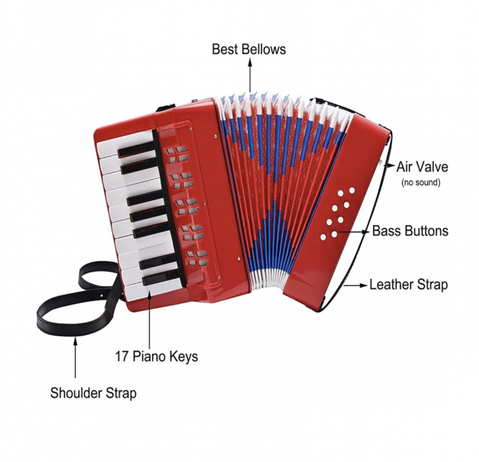 Acordeon muzical cu clape [6]