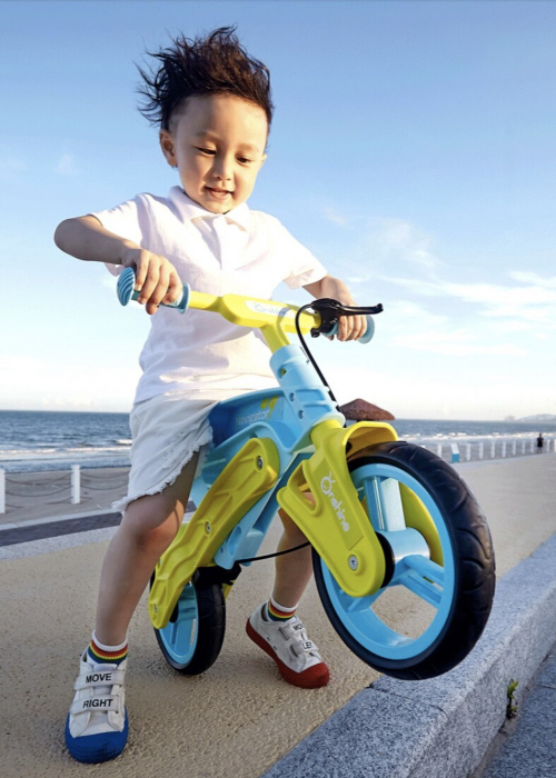 Bicicleta fara pedale, pentru echilibru, Navigator, vernil cu bleu [2]