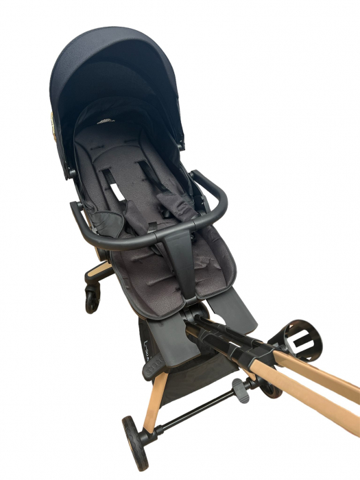 Carucior C2 Deluxe, reversibil, pliabil, cu lumini si muzica, Negru cu flori [13]
