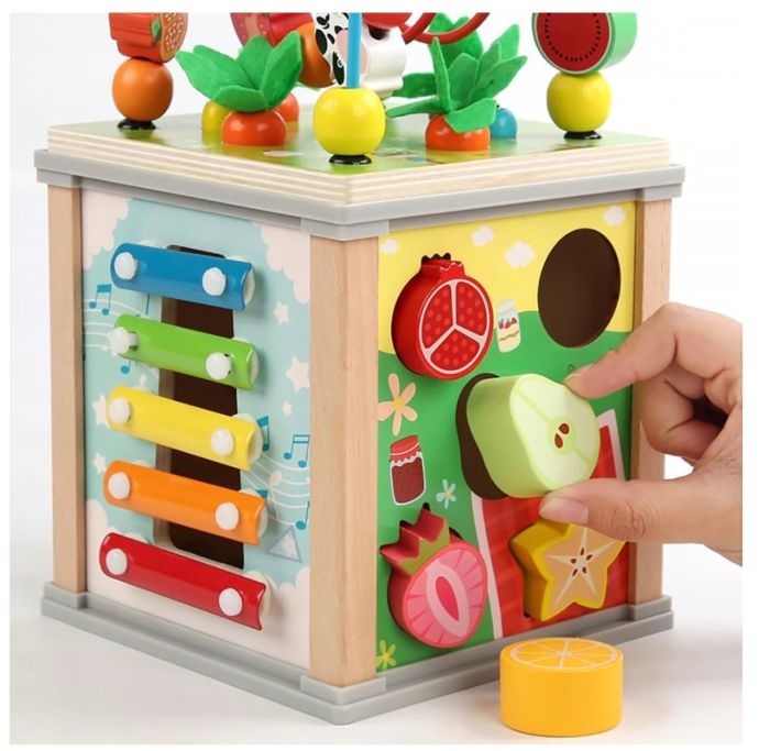 Cub Activitati Educativ Montessori 10 in 1, din lemn, Ciocanitoare si Xilofon [12]