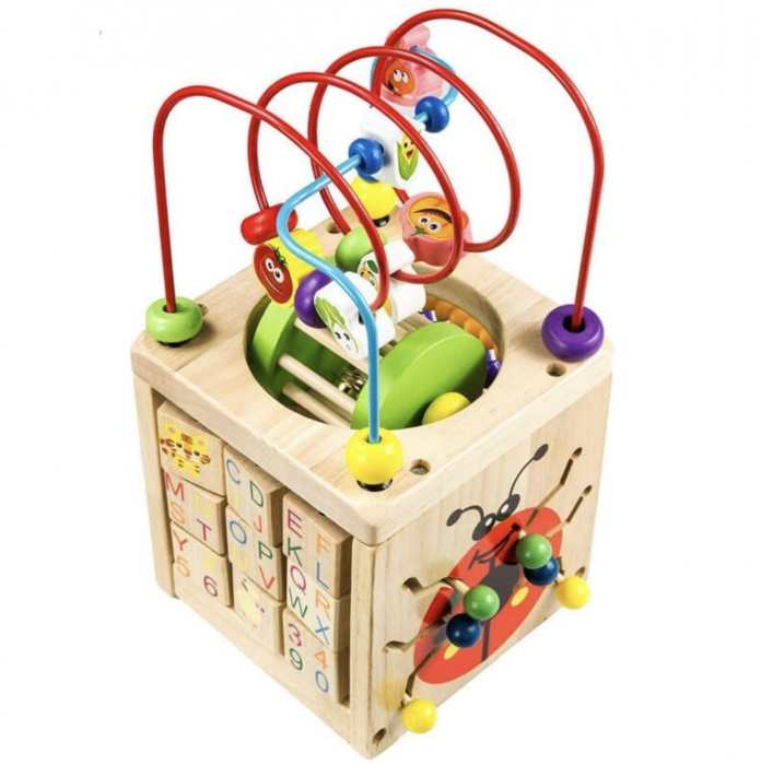 Cub cu activitati diverse 6 in 1 cu cilindru, Buburuza, din lemn [2]