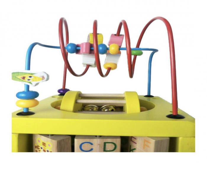 Cub cu activitati diverse 6 in 1 cu cilindru, Buburuza, din lemn [4]
