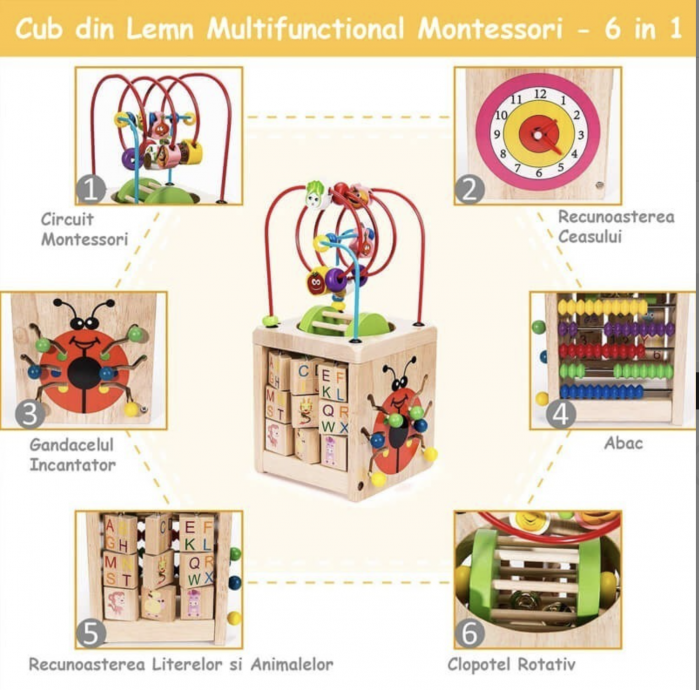 Cub cu activitati diverse 6 in 1 cu cilindru, Buburuza, din lemn [8]