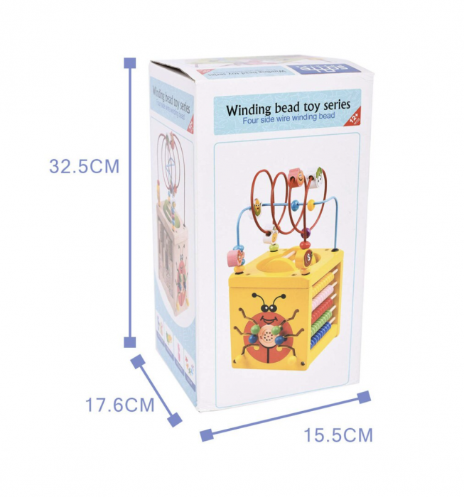 Cub cu activitati diverse 6 in 1 cu cilindru, Buburuza, din lemn [5]