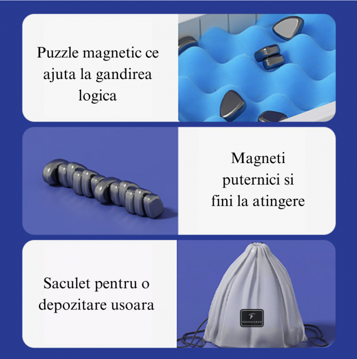 Joc de societate si logica cu piese magnetice [4]