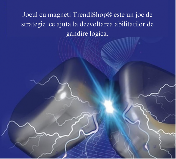 Joc de societate si logica cu piese magnetice [6]