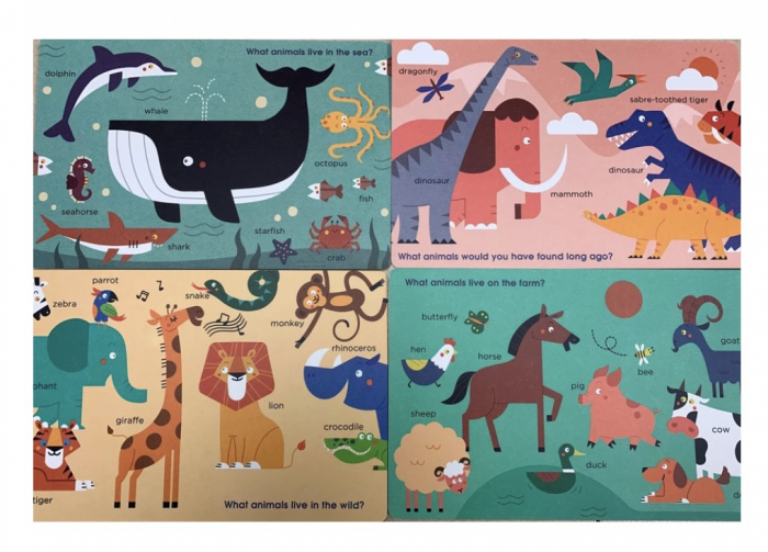 Joc educativ Cardurile Cognitive - Enciclopedia vietii [11]