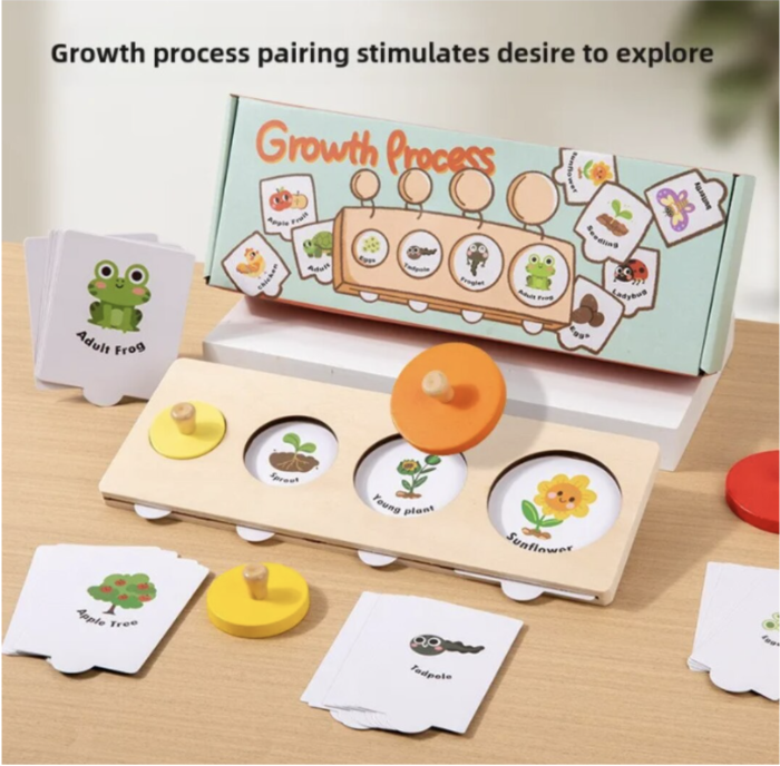 Joc educativ Montessori Ciclul vietii plantelor si animalelor, din lemn [6]