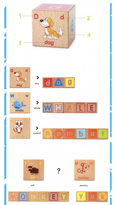 Joc Montessori 26 piese Cuburi cu Literele alfabetului, cuvinte, culori, animale, din lemn [12]