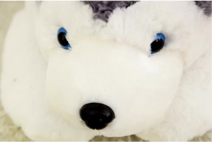 Jucarie din plus Cainele Husky 45 cm [3]